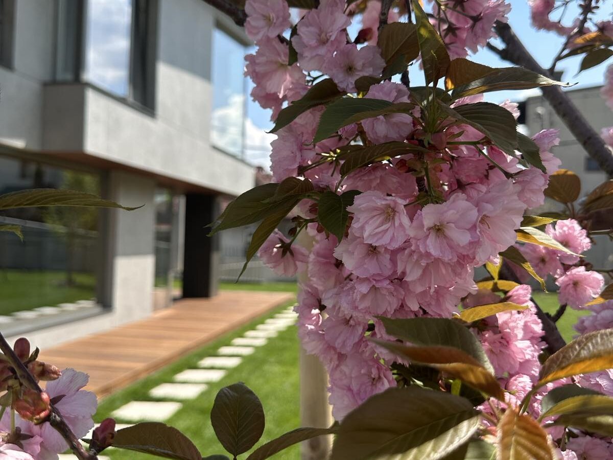 Озеленяване